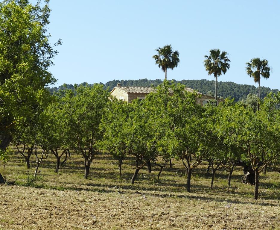 Agroturismo Son Bauzanet (adults Only) Séjour à la ferme
